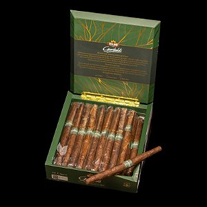 Toscano Garibaldi - Caixa C/ 20 unid