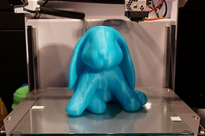 Bunnie - O Coelhinho de orelhas caídas!