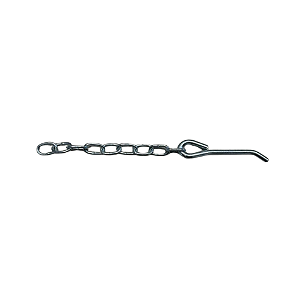 Pino de Fueiro 6,0mm com Corrente e Ponta Dobrada Zincado Branco – RAV62300
