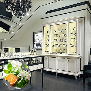 Essência de Grife Referência Jô Malone Basil And Neroli