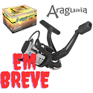 Molinete Araguaia 4000