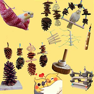 Pêndulos - Brinquedos para Aves