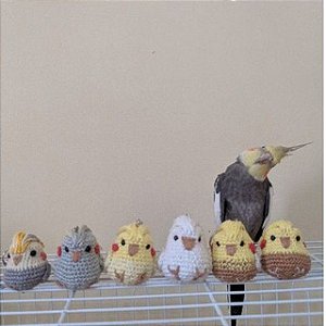 Calopsita Amigurumi