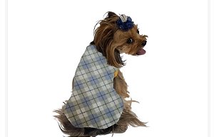 Roupa para Cães Inverno Soft Xadrez Verde com Azul - Gaby Moda Pet