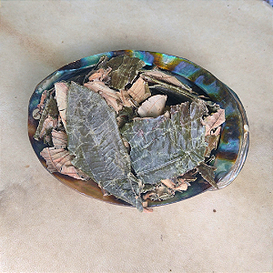 Canela de Velho Folhas 50g