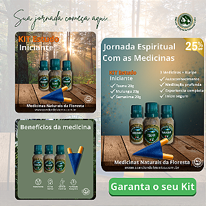 Kit Estudo Iniciante - Condor Del Viento
