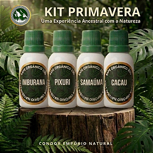 Kit Primavera – Conexão e Renovação