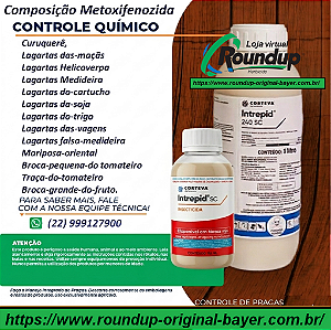 Inseticida Intrepid 240 Fracionado 100 ml - Composição Metoxifenozida