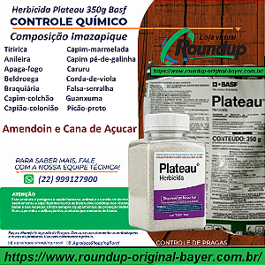 Herbicida Plateau 100 gr - Composição Imazapique Controle de Tiririca