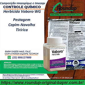 Herbicida Vaboro WG Fracionado 100 g - Composição Imazapir e Imazapique