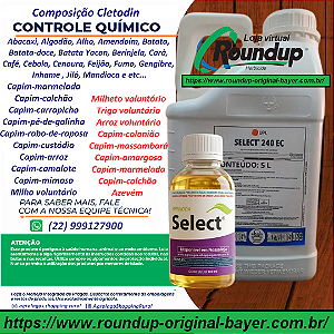 Herbicida Graminicida Select 240 Fracionado 100 ml - Composição Cletodin