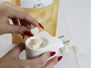 Wax Melts - Lembrança de Treze Tílias