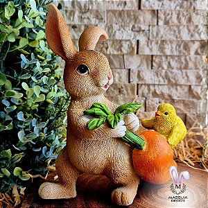 Coelhinho Théo e Tico