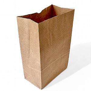 Kit 50 Sacos Kraft 18x22x9cm para Delivery
