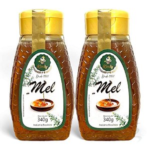 Mel Puro De Abelha Florada Silvestre 340g - Kit C/ 2 Unid