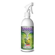 FUNGICIDA FUNGIDOR SPRAY INSETIMAX 150ml