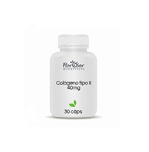 Colágeno Tipo 2 40mg