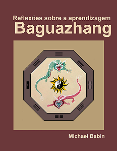 REFLEXÕES SOBRE A APRENDIZAGEM BAGUAZHANG - MICHAEL BABIN