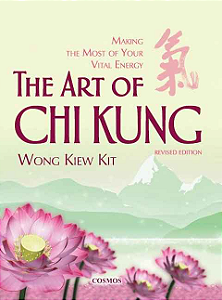 THE ART OF CHI KUNG - WONG KIEW KIT