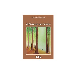 REFLEXÕES DE UM CATÓLICO EDSON LUIZ SAMPEL