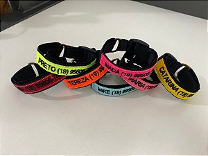 Coleira Para gatos com identificação