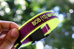 Coleira de identificação Bordada Premium- Neon com Roxo