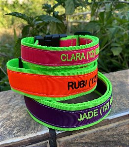 Coleira identificação Bordada PREMIUM- cores vibrantes