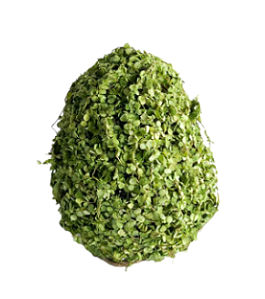 Ovo Folhagem 16CM