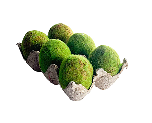 Bandeja c/ Ovos de Páscoa Decorativos Musgo 14cm (EN1807)