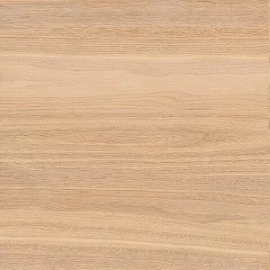 Piso Karina Arbor 60306 Acetinado 60x60cm Retificado