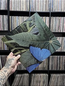 LP - DJAVAN - ASA SINGLE