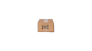 Caixa de Papelão 4 abas N96 21,5 x 16 x 9,5
