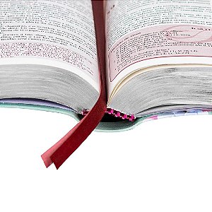 A Bíblia da Pregadora bíblia de estudo