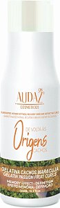 Gelatina Cachos Maracujá 500ml