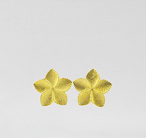 Brinco Delicado Floral com Ranhuras
