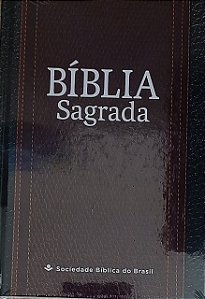 BIBLIA SAGRADA