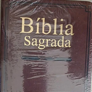 BIBLIA SAGRADA- NA COR MARRON CAPA MACIA
