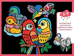 ILUSTRACOES EM VELUDO PASSARINHOS
