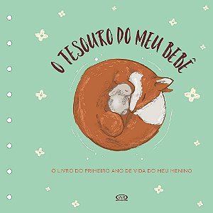 LIVRO TESOURO DO MEU BEBE O LIVRO DE RECOR (VERDE)
