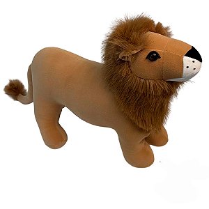 LEAO REI