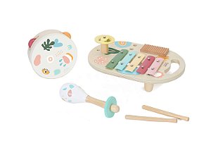 CONJUNTO MUSICAL IRIS