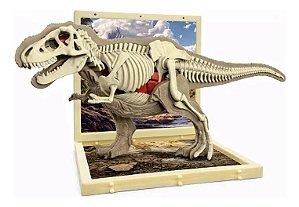 BRINQUEDO ANATOMIA 3D DINOSSAURO