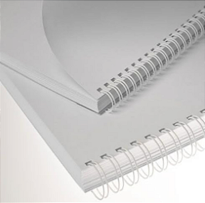 KIT C/03 UNIDADES - Wire-o/Garra Duplo Anel A4 passo 2X1 - BRANCO