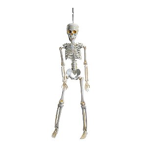 Caveira Amom 40cm para Decoração de Halloween - 1 Un