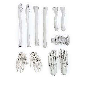 Esqueleto Sebastian - Kit Com 12 Peças