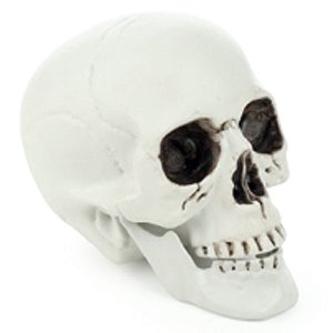 Crânio Blake Decoração Halloween 16cm - 1 Un
