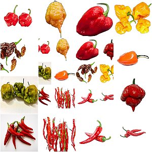 Monte Seu Kit Picante: Pimentas Variadas para Explorar Sabores e Intensidades Únicas!