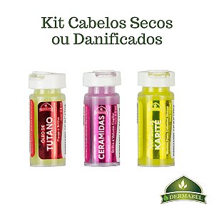 Kit Cabelos Secos e Danificados c/ 12 Ampolas Dose Concentrada