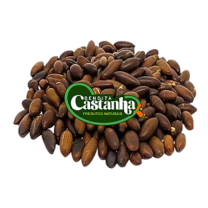 Castanha de Baru