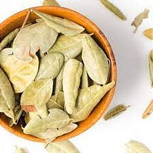 Boldo seco (Peumus boldus Molina) 10g